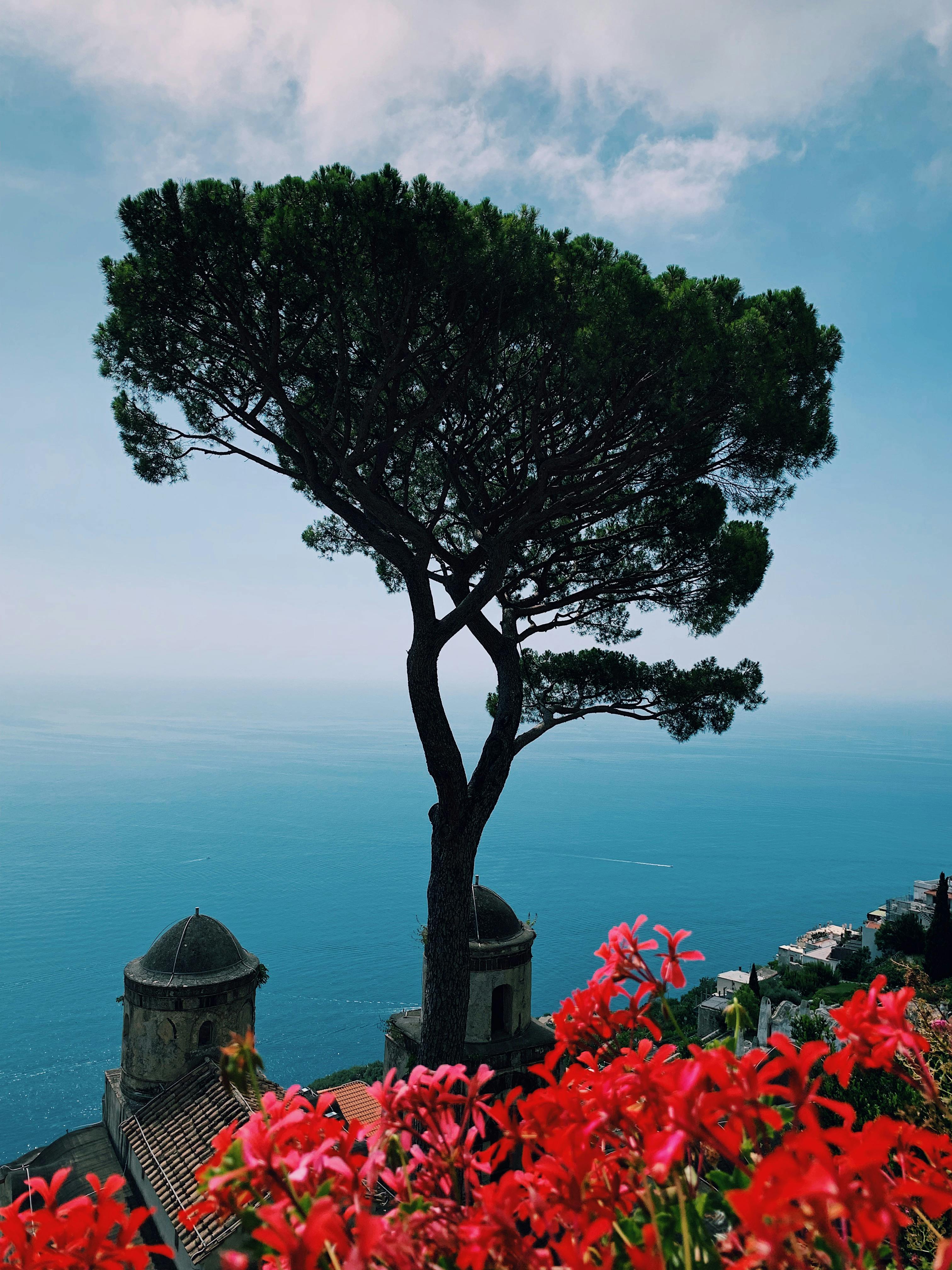 意大利拉韦洛的美丽景色，充满了地中海风情的鲜花和活力