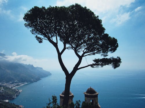 Free stock photo of amalfi, amalfi coast, italian coast