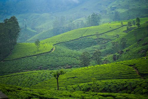 Kerala waterfall