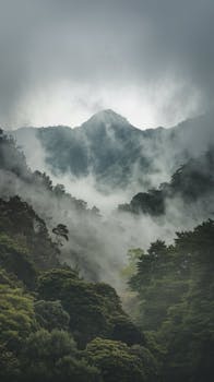 A tranquil mountain landscape enveloped in mist and lush greenery, creating a calm and mysterious ambiance.