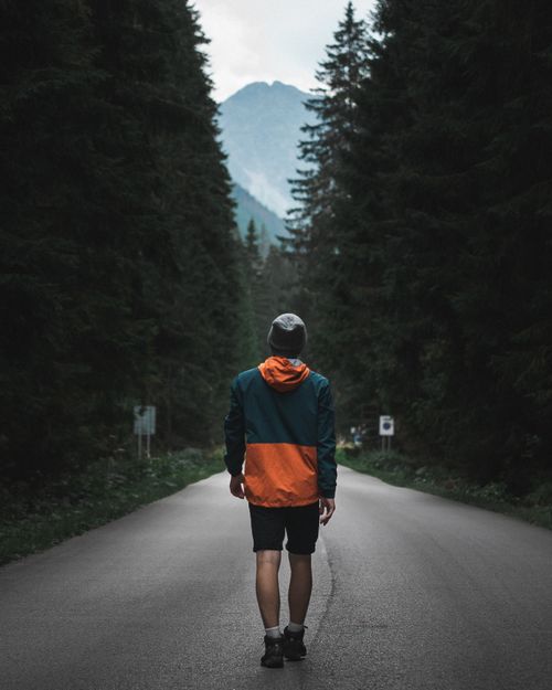 Free A lone man walks on a deserted road through a dense forest, embodying solitude and adventure. Stock Photo