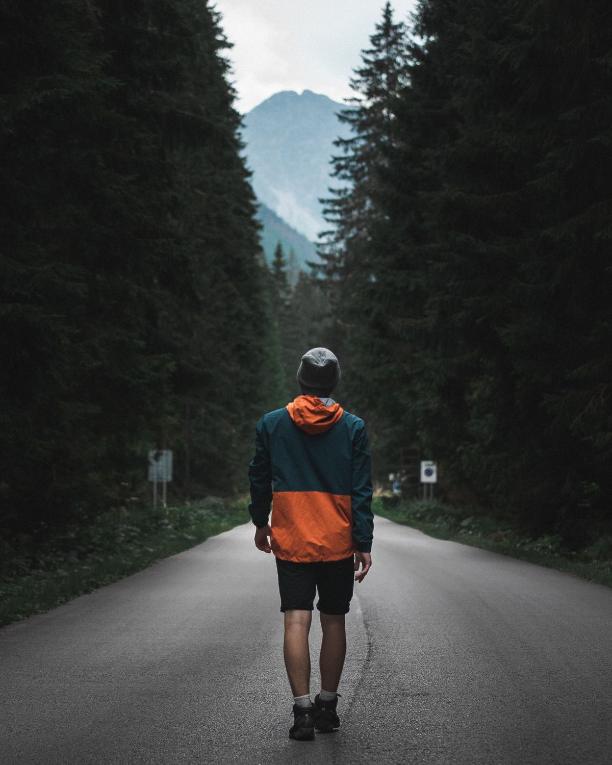 Photo of Man Walking on Road Near Trees · Free Stock Photo