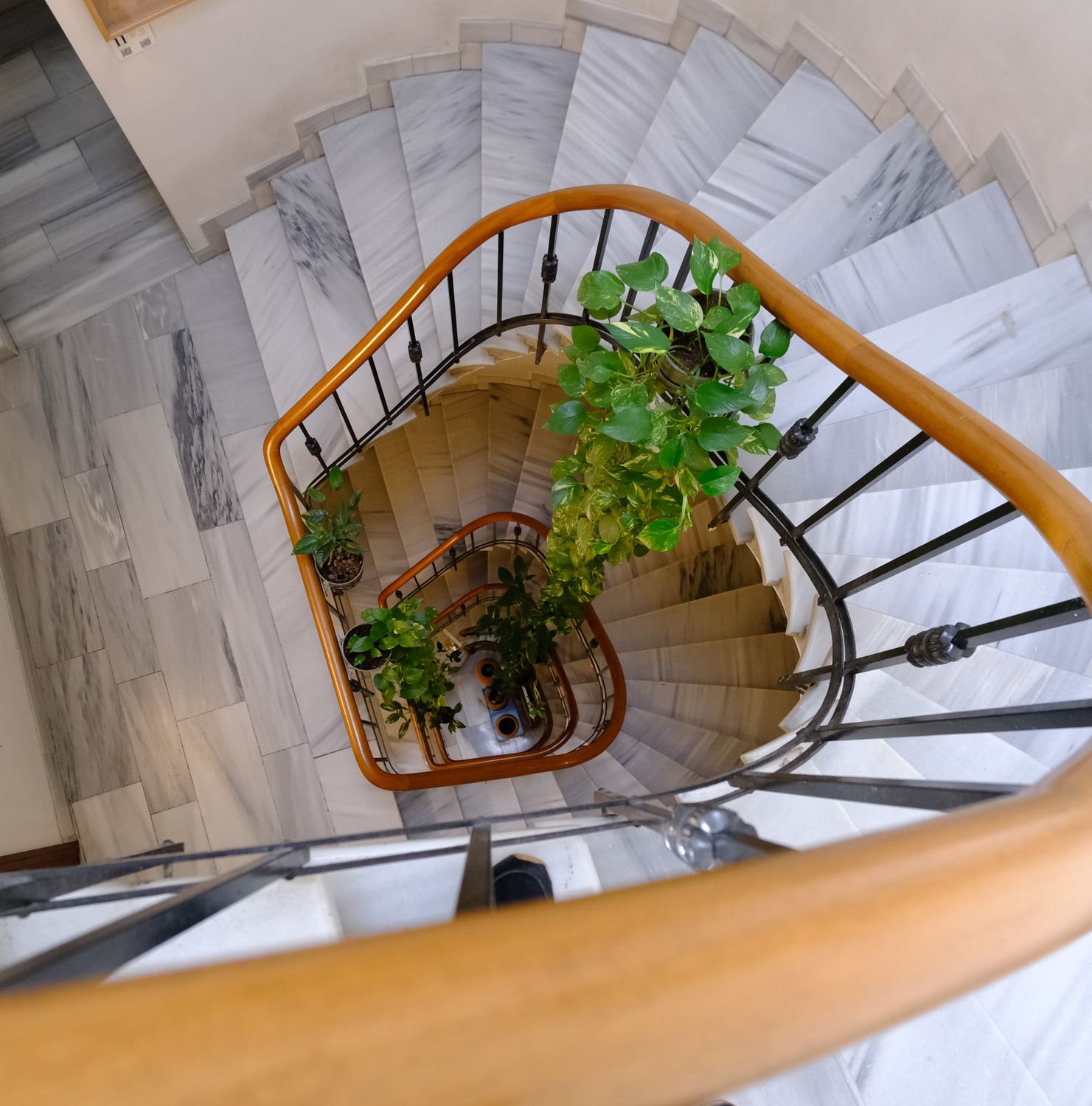 Spiral Staircase with Indoor Plants · Free Stock Photo