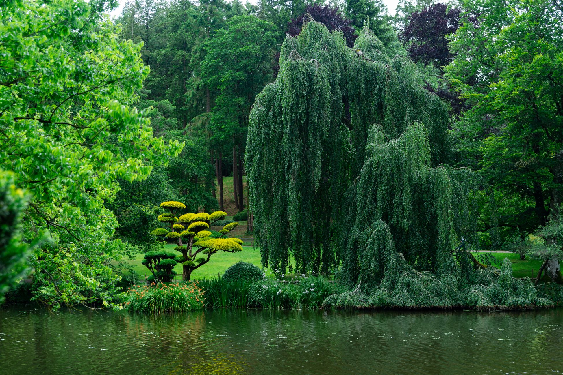 Japanse keizer en vrouw planten eerste boom in vernieuwd Bloesempark Amsterdam