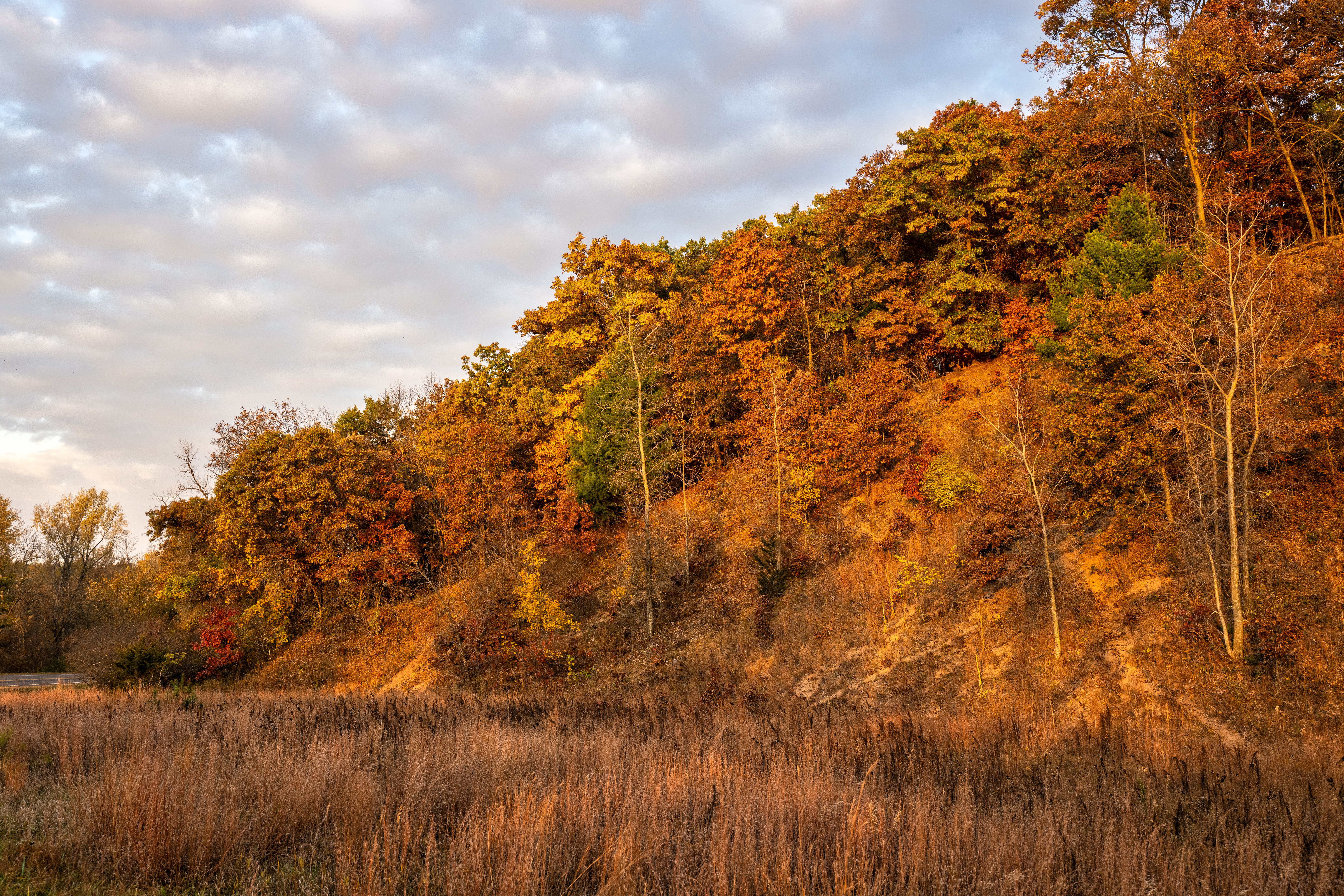 Autumn Hillside in Ella, Wisconsin at Dusk · Free Stock Photo