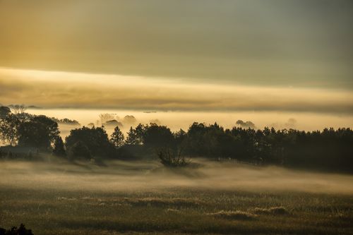 Free Peaceful foggy morning landscape with mist and trees at sunrise in Kellogg, Minnesota. Stock Photo