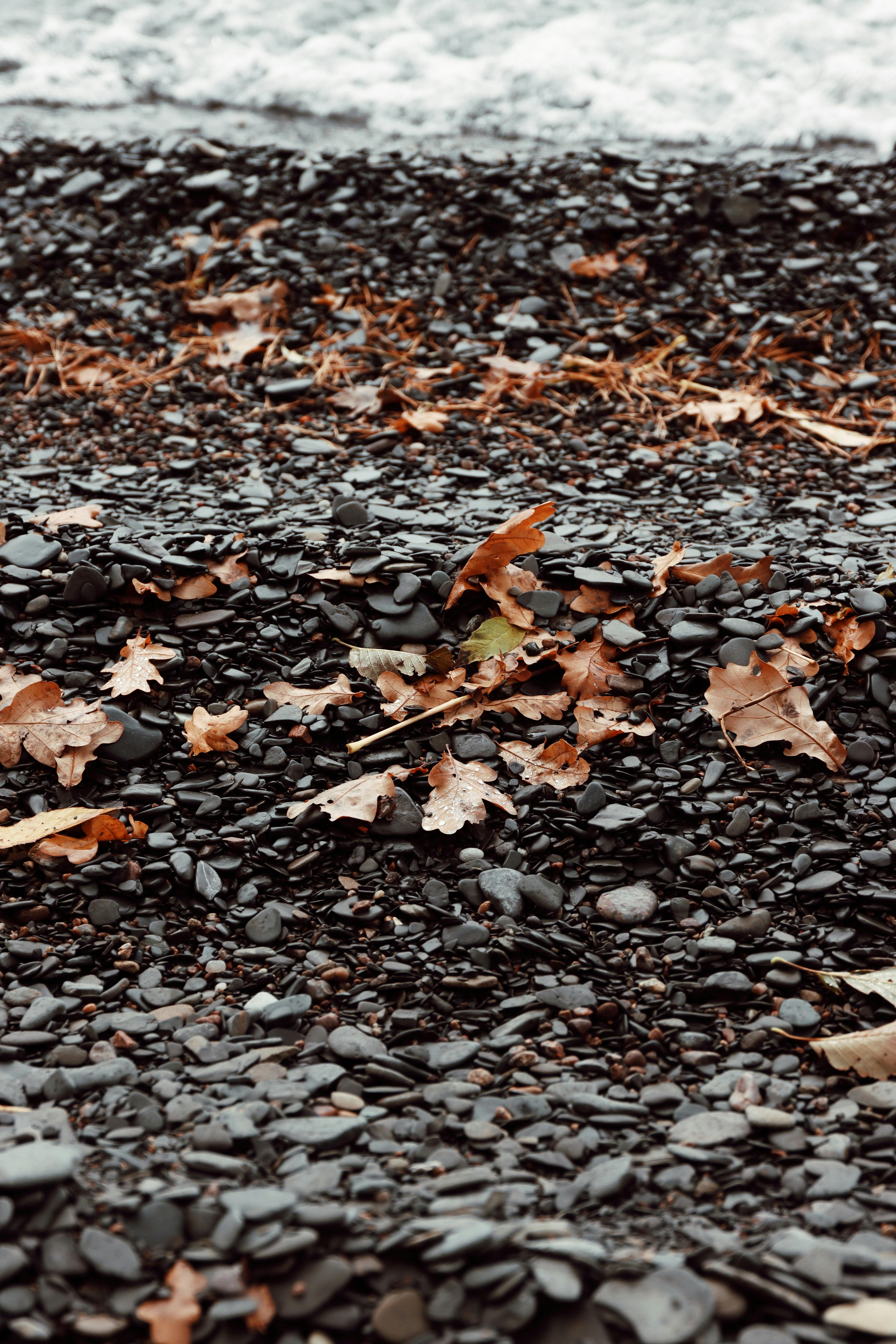 black stones and autumn leaves on granna shore