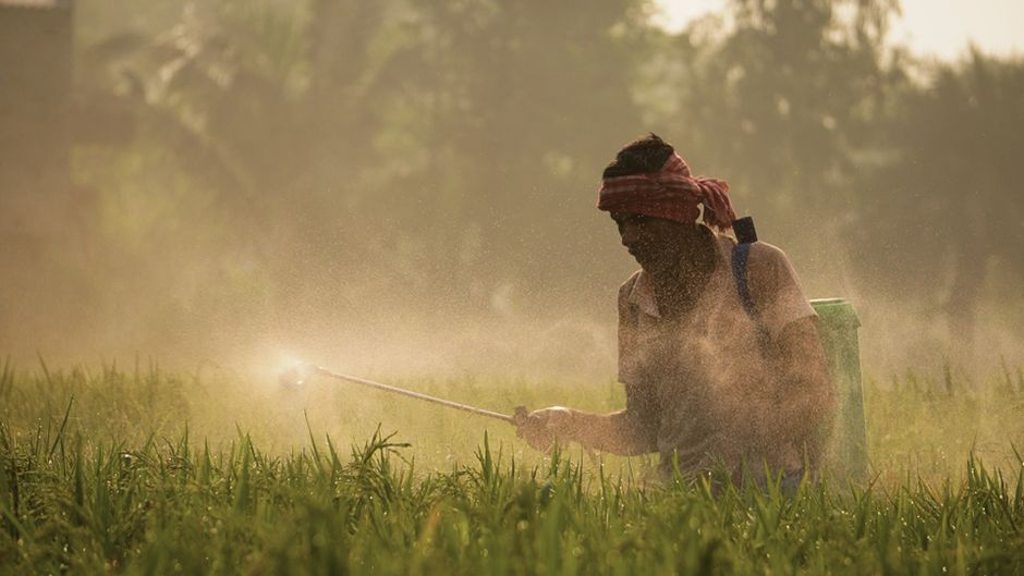 Crackdown on Tampering of Farmers' Crops Scheme