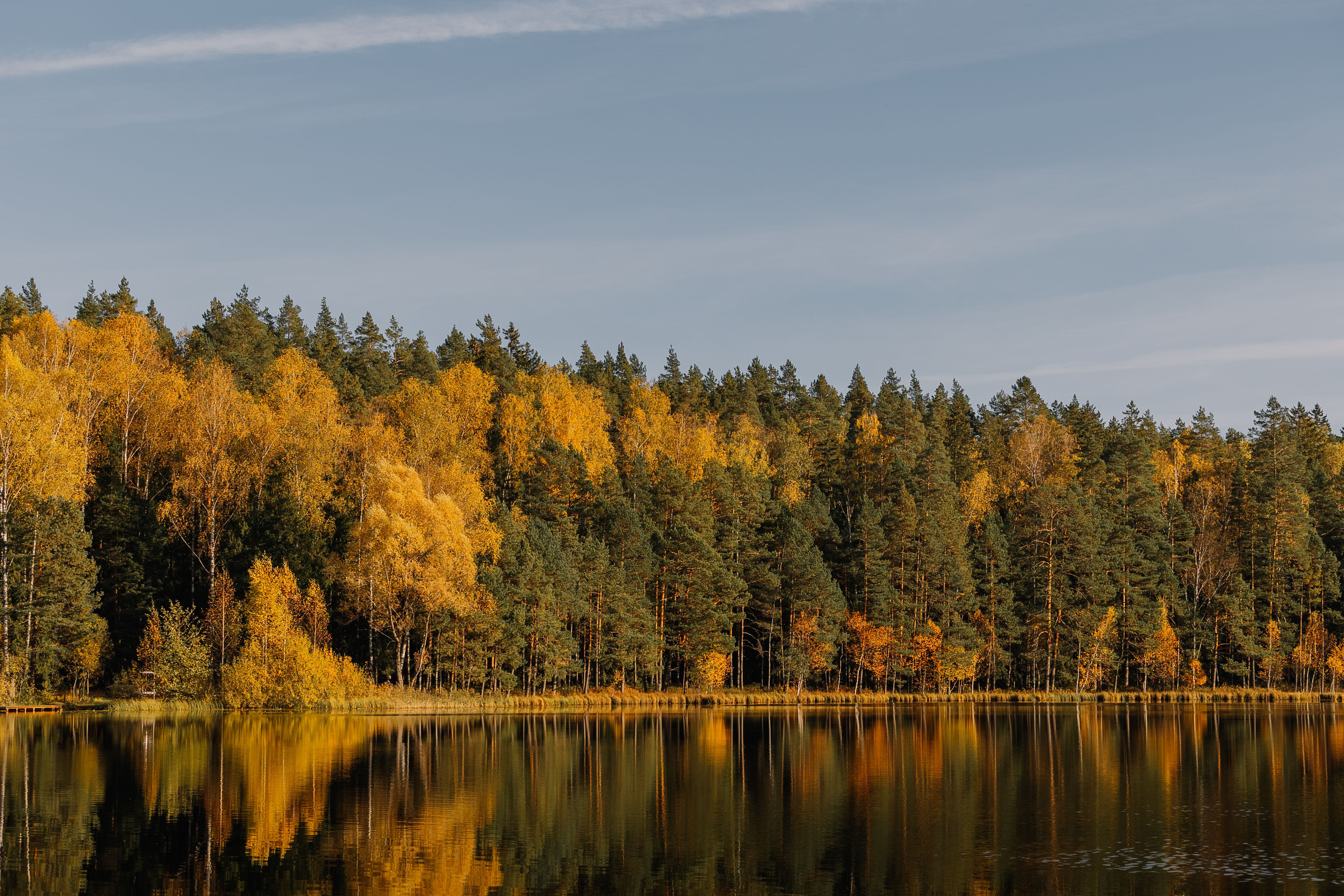 Scenic Autumn Forest Reflected in Lake Waters · Free Stock Photo