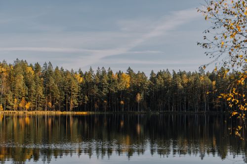 Free Peaceful lake reflecting an autumn forest with vibrant fall foliage under a clear sky. Stock Photo
