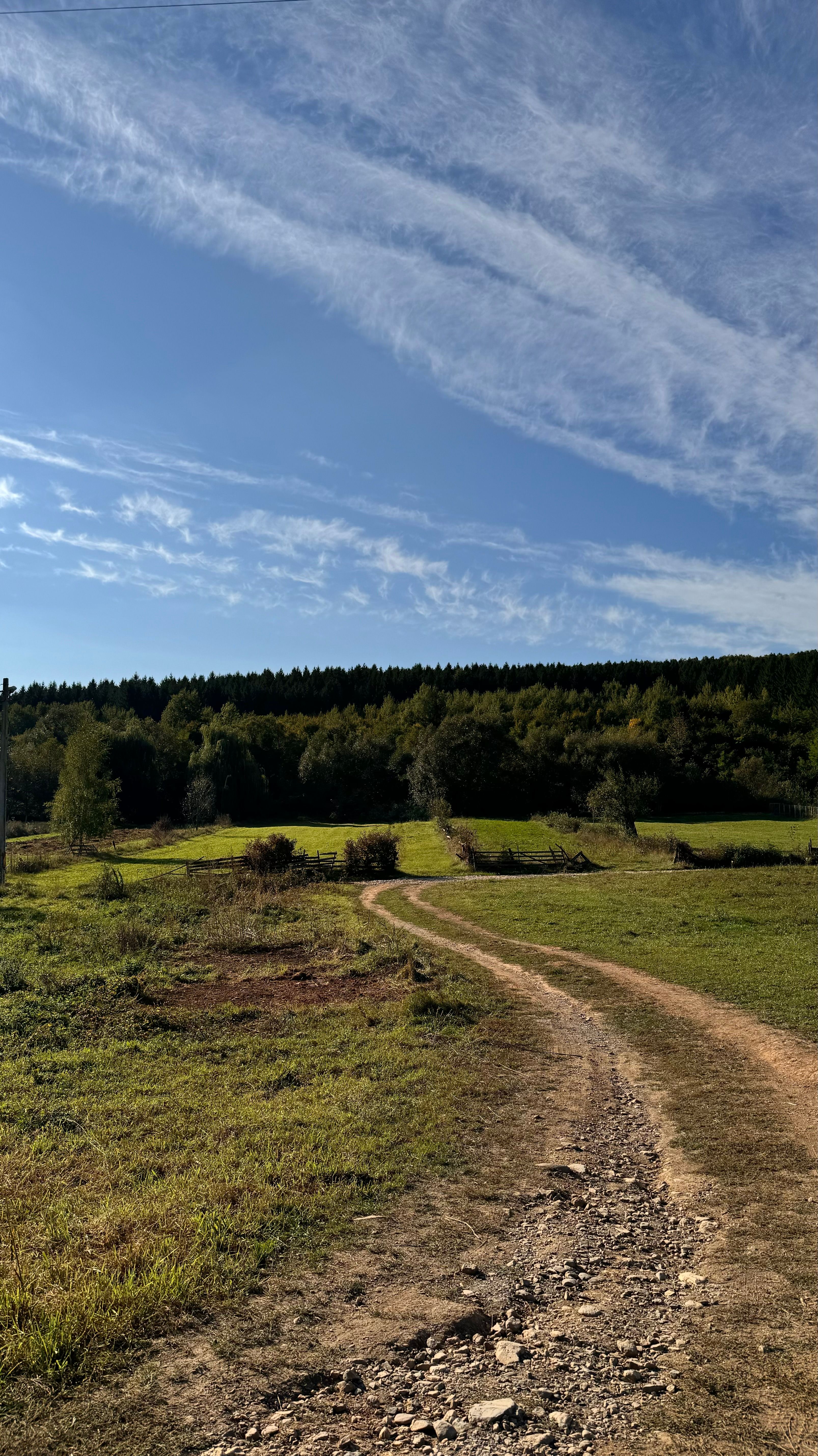 Winding dirt path through a green field under clouds — photo by Maria Moise on Pexels