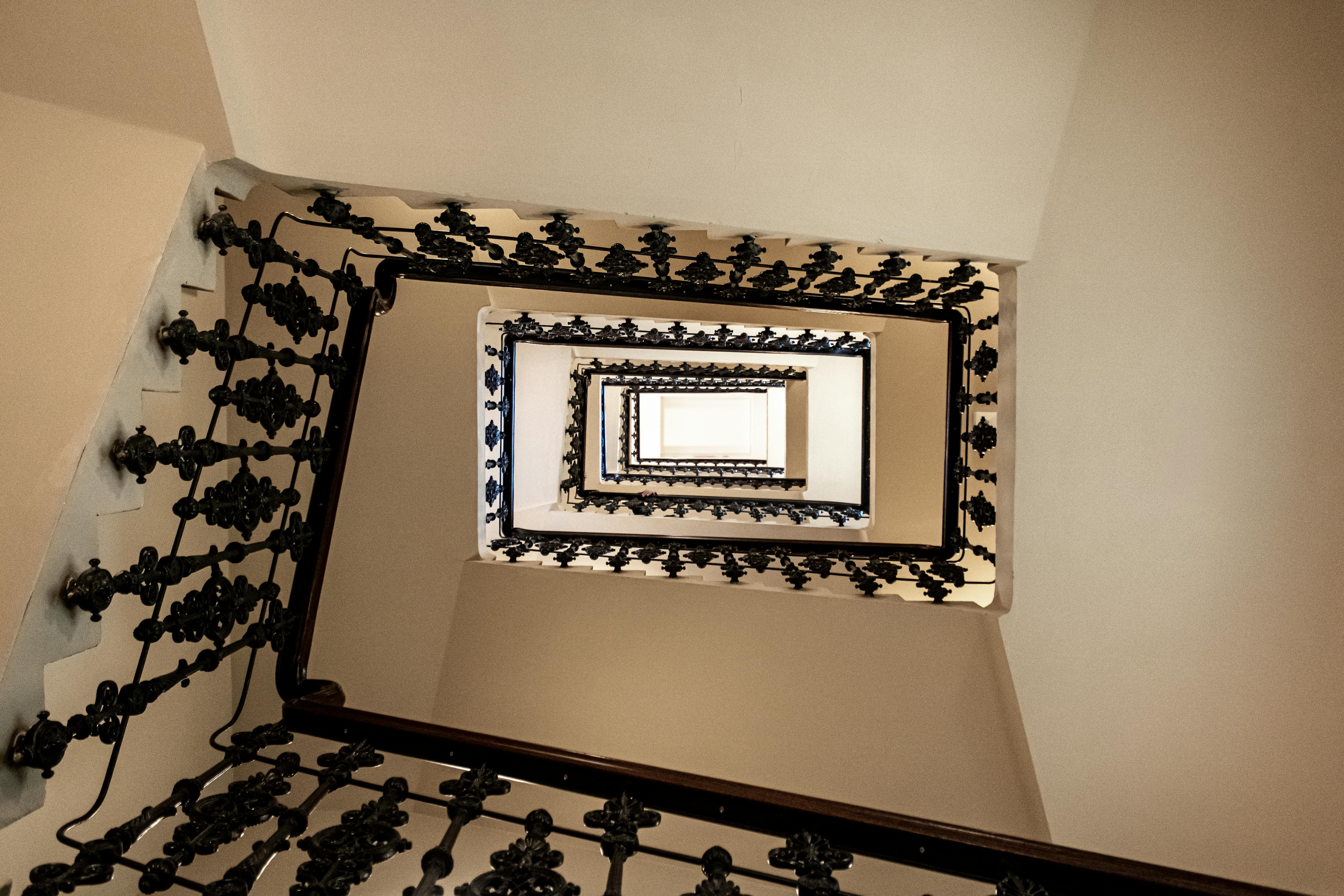 The European Perspective