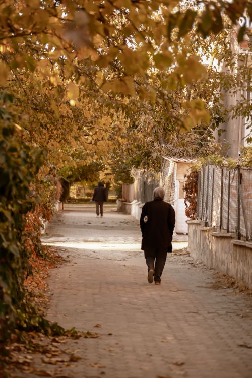 Free Two adults walking through a serene alley lined with autumn leaves. Stock Photo
