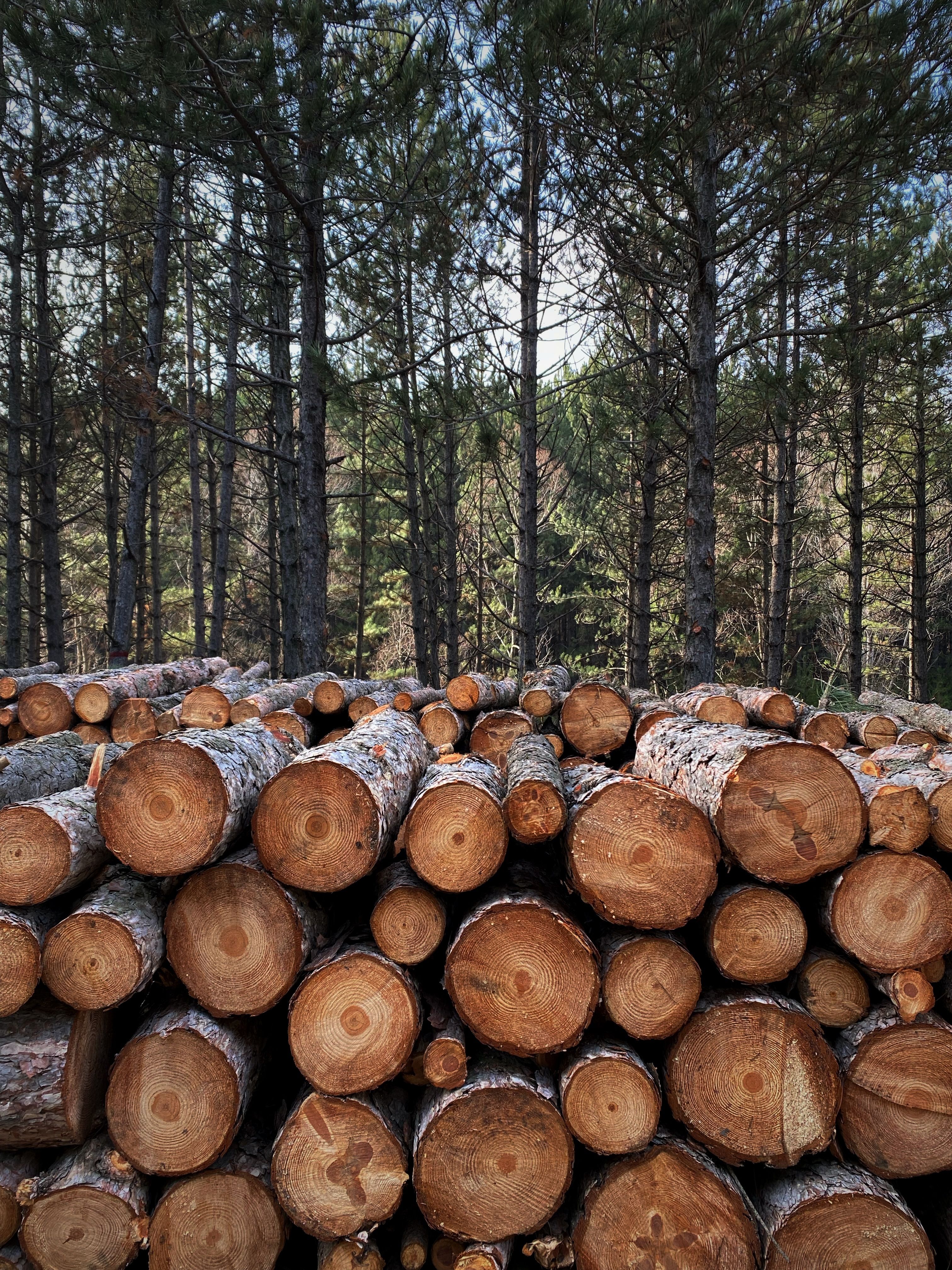 Impacto social y económico de los conflictos prolongados por recursos naturales