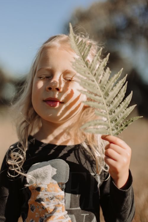 Free A young child holding a fern leaf in sunlight, enjoying the outdoors. Stock Photo