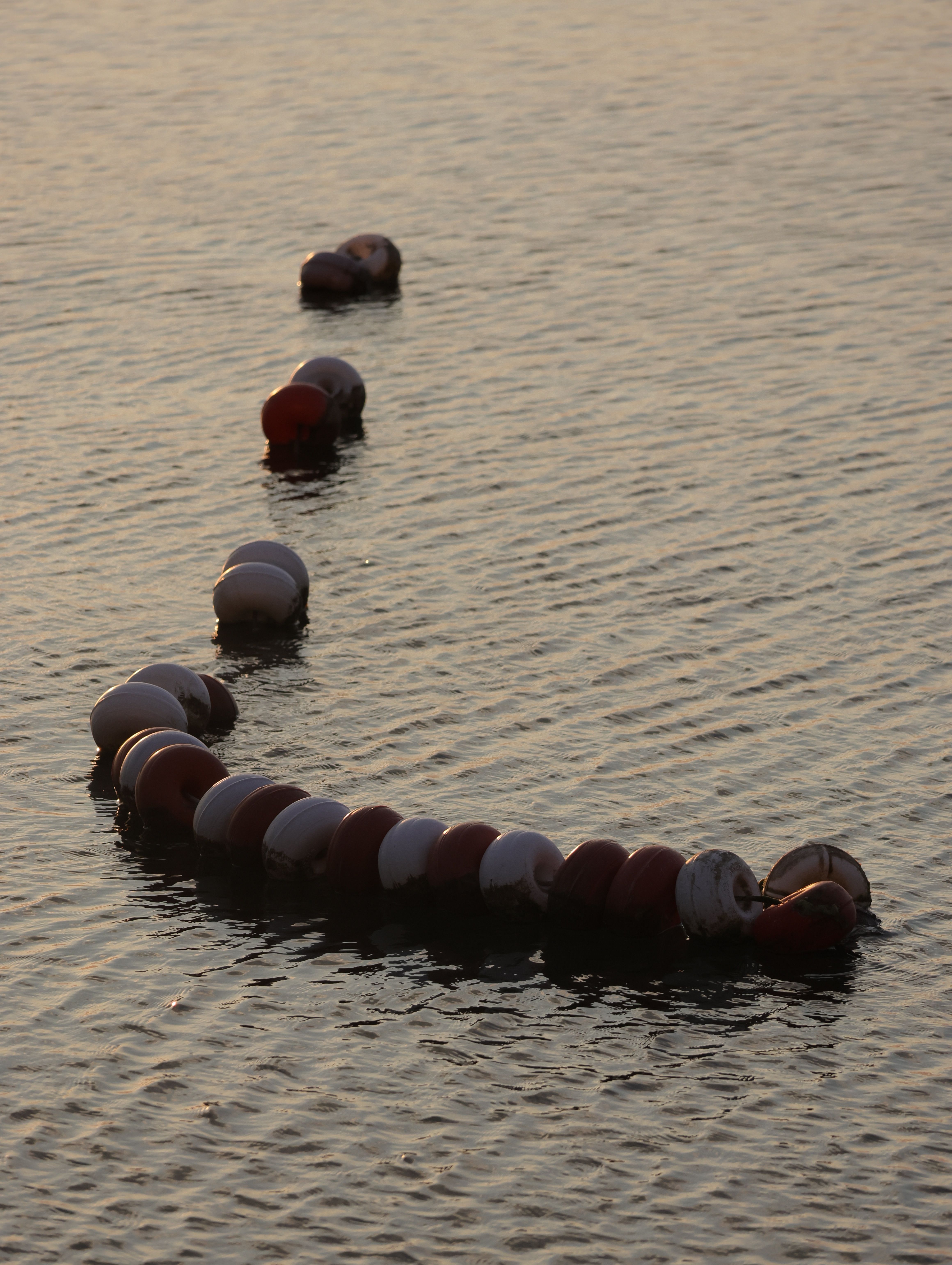 Line Of Buoys Photos, Download The BEST Free Line Of Buoys Stock Photos ...