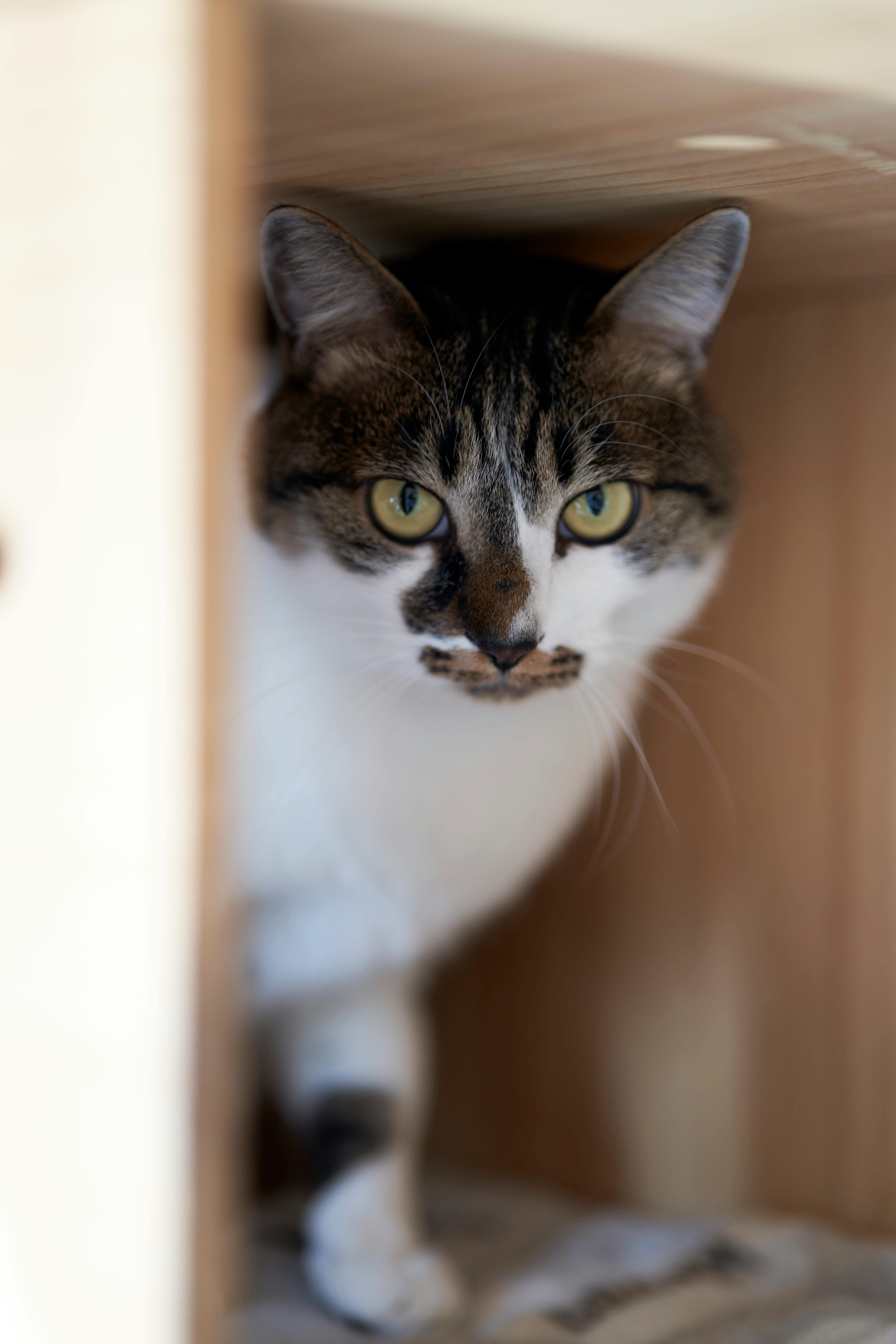 # B. Solusi Tingkat Lanjut: Menyembunyikan Kabel di Dalam Furnitur