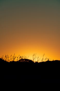 A tranquil sunset with silhouetted grass, casting a warm glow across the horizon.