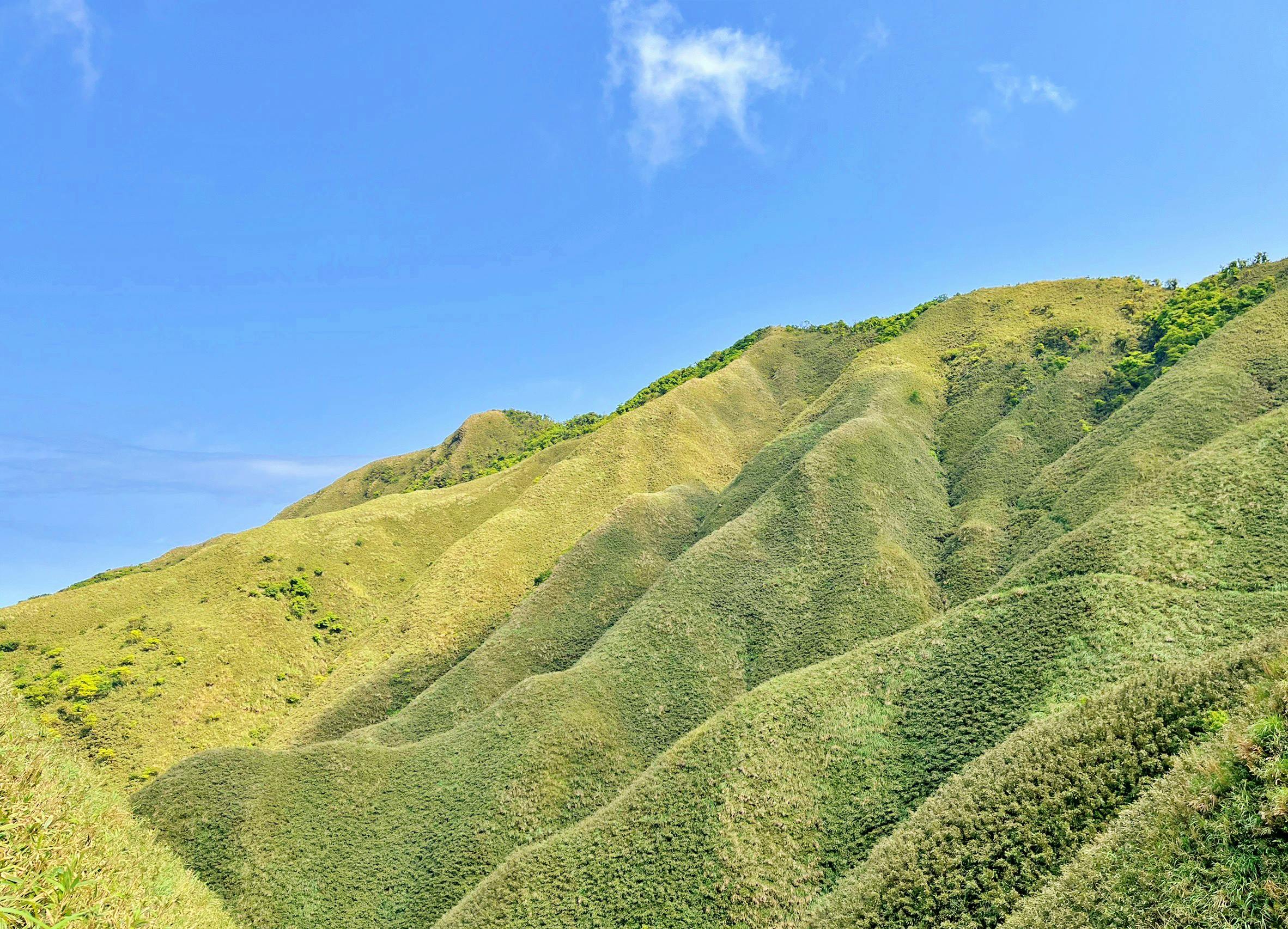 蔥田與湖景的慢遊畫面