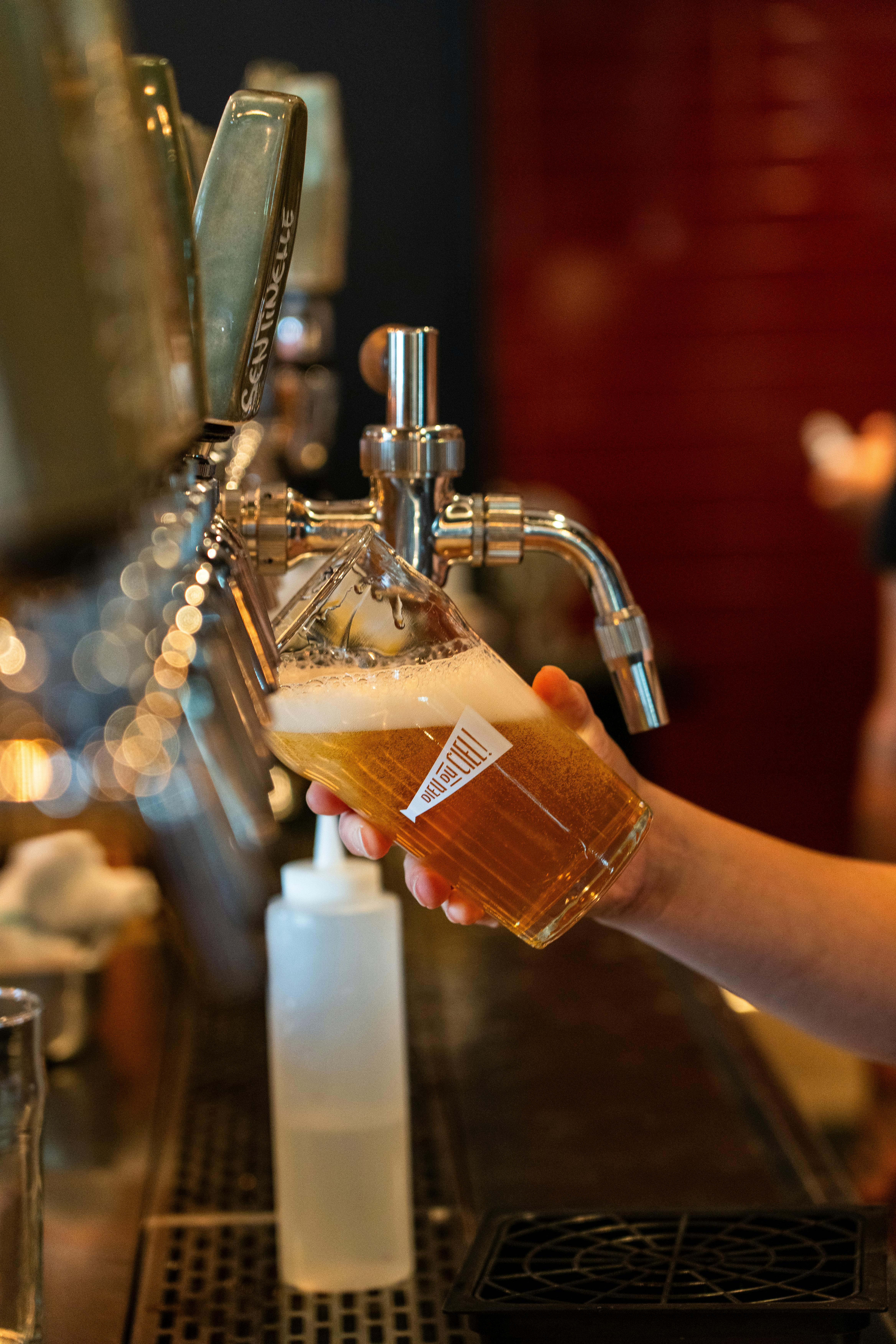 pouring a fresh pint of beer in montreal bar