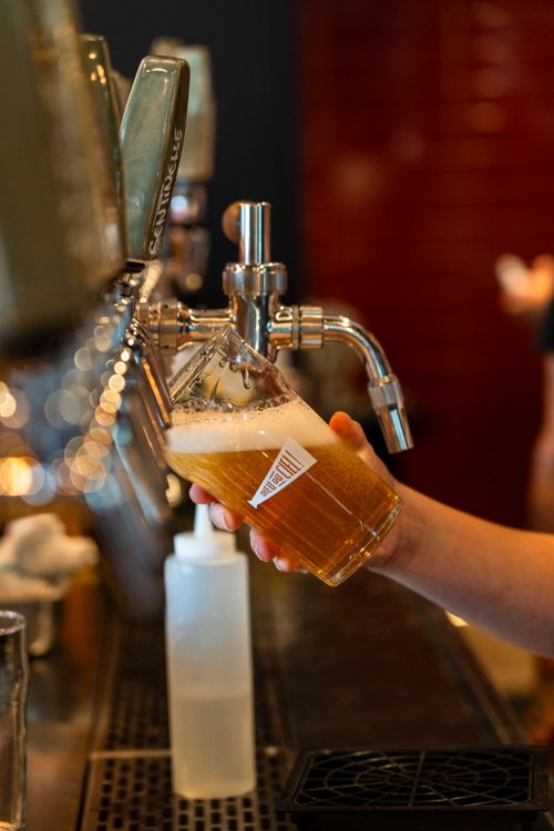 Free A bartender pours a refreshing beer into a glass at a Montreal bar during the day. Stock Photo