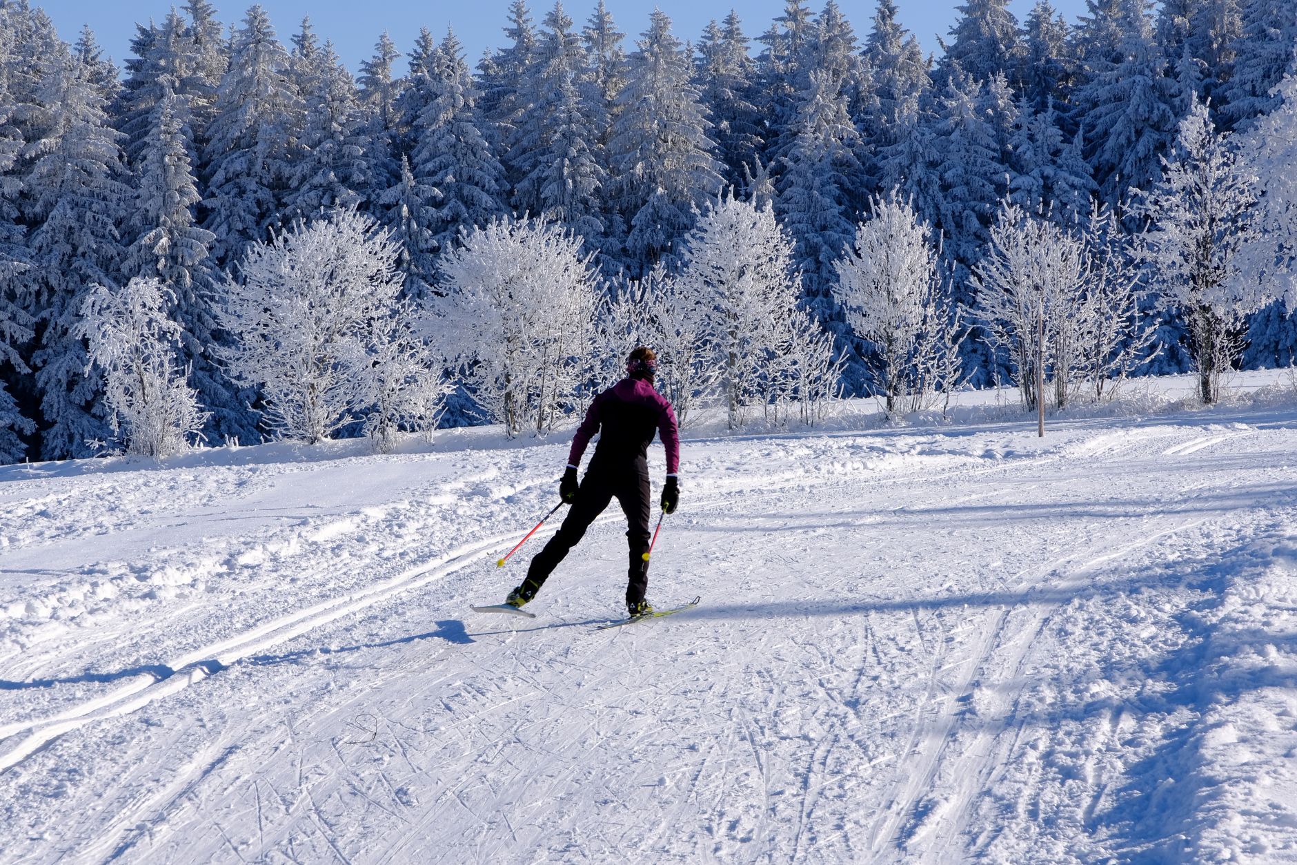 Sentier de patin en forêt de la Bleuetière Goulet