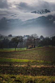 Peaceful rural scene with misty mountains and fields, capturing nature’s calmness.