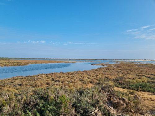 Free Peaceful coastal wetlands with clear skies reflecting in calm waters. Perfect for nature lovers. Stock Photo