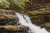 在郁郁葱葱的森林中，宁静的瀑布从长满青苔的岩石上倾泻而下，非常适合自然爱好者和旅行者