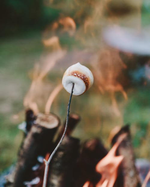 Personne Tenant Des S'mores