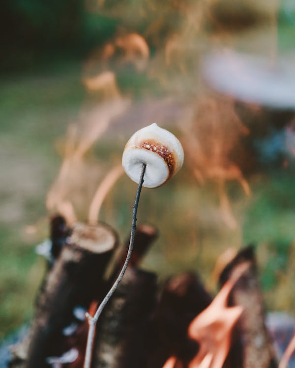 Free Person Holding S'mores Stock Photo
