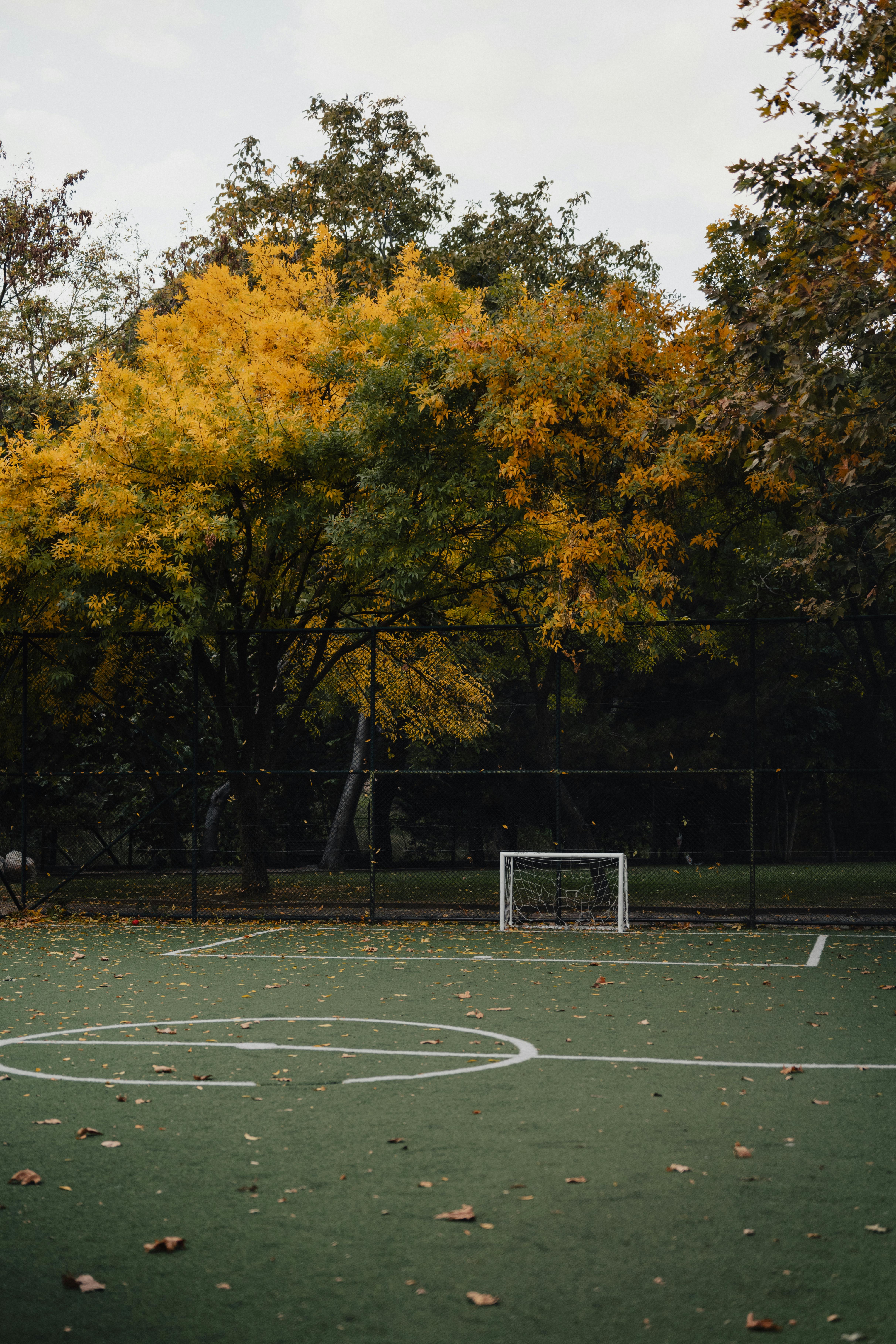 Lonely soccer field surrounded by autumn leaves and trees in Istanbul, capturing the essence of fall.
