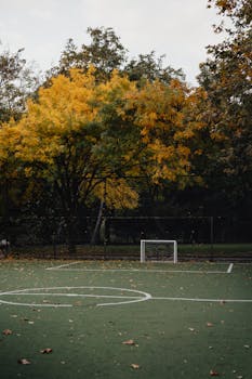 Lonely soccer field surrounded by autumn leaves and trees in Istanbul, capturing the essence of fall.