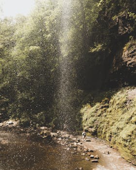 瀑布从岩石悬崖上倾泻而下，宁静安详，周围环绕着青翠的树木和宁静的水池