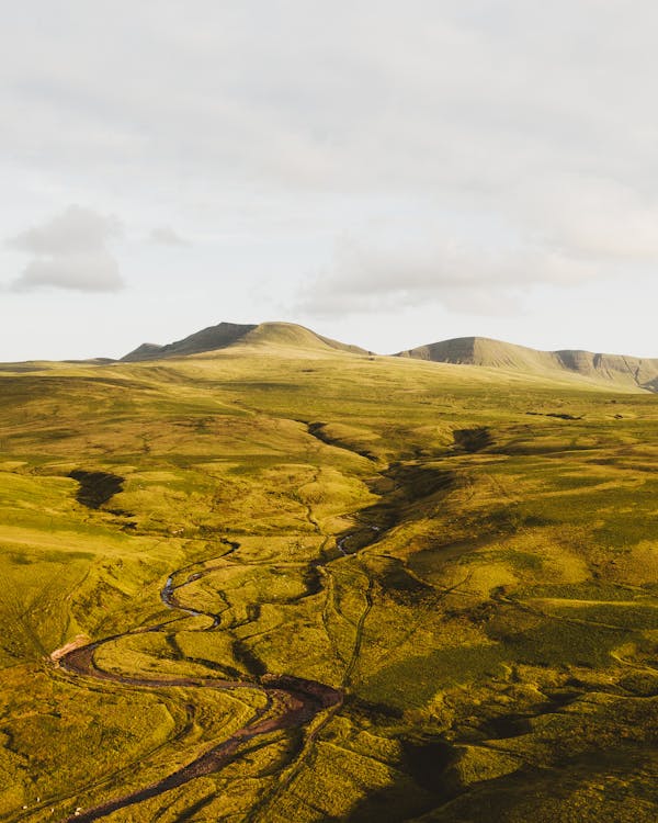 Free Grassland Photo Stock Photo