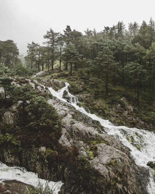 Water cascade running down rocky green hill covered with coniferous trees on gloomy day