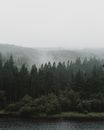 雾气缭绕的常绿森林与湖泊，其宁静的景色营造出神秘而静谧的景象