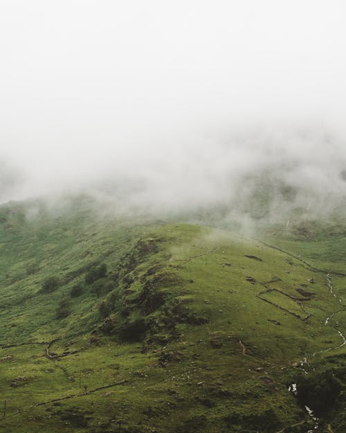 Green Covered Hill