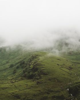 郁郁葱葱的青山与溪流间流淌的雾景，捕捉到了大自然的宁静之美