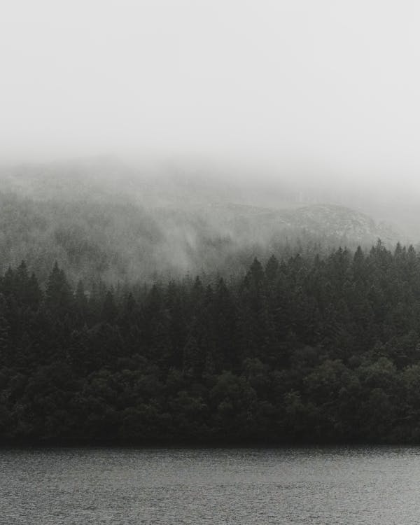 View Of The Foggy Lush Mountain Forest By Lake