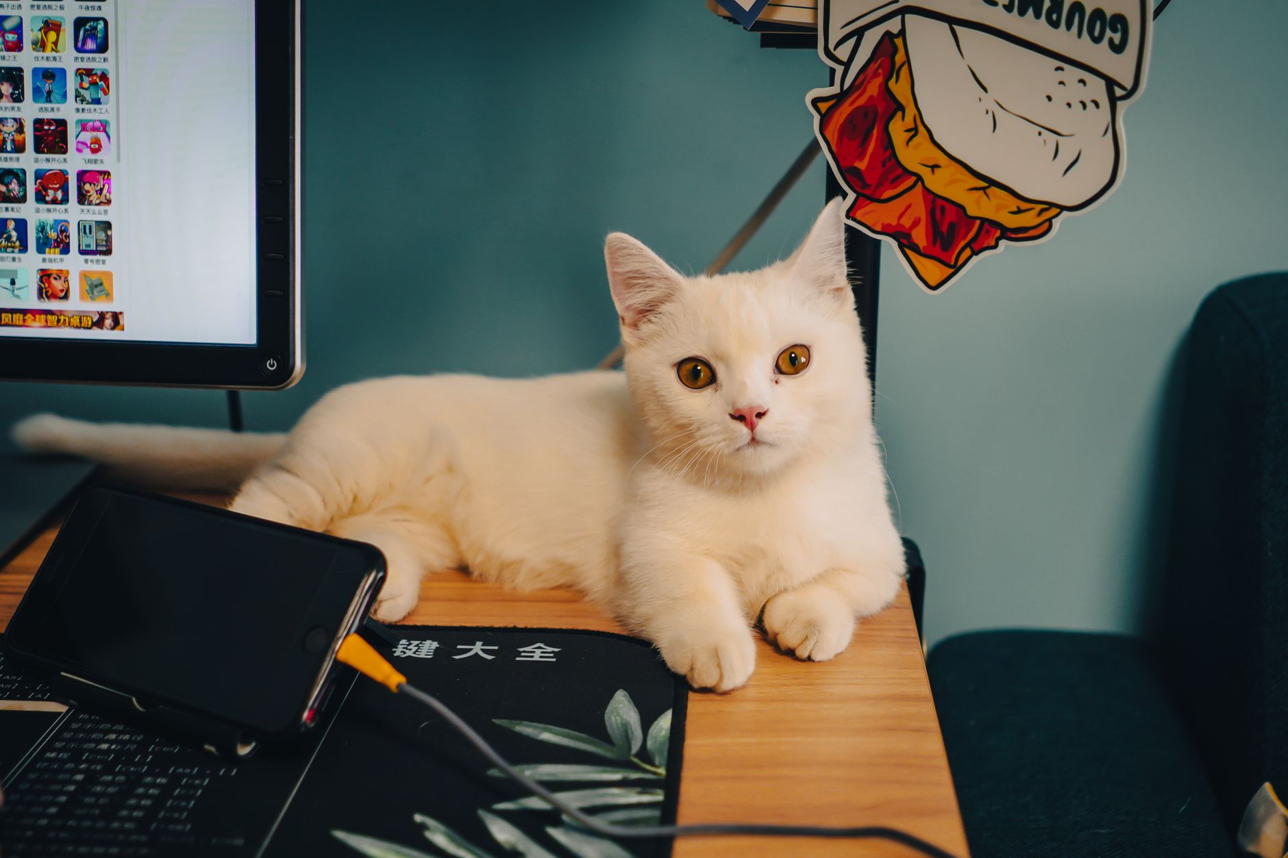 Cats & Soup: Magic Recipe — Skip the Hype, But Don't Skip the Game Entirely