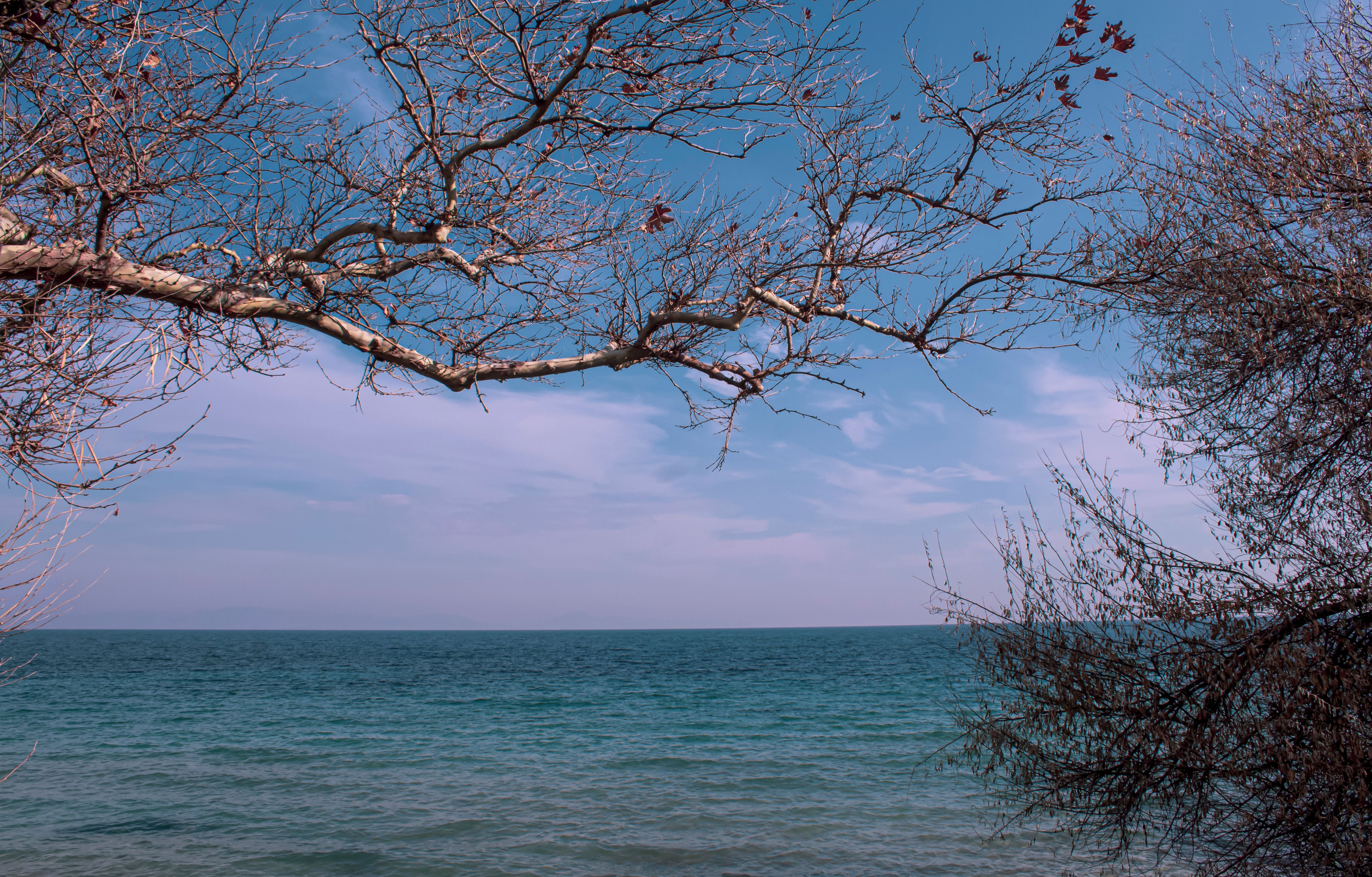 Polychrono, Kassandra · φωτογραφία περιοχής 4