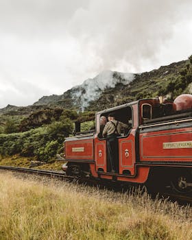 一辆老式蒸汽机车冒着滚滚浓烟，穿过郁郁葱葱的乡村