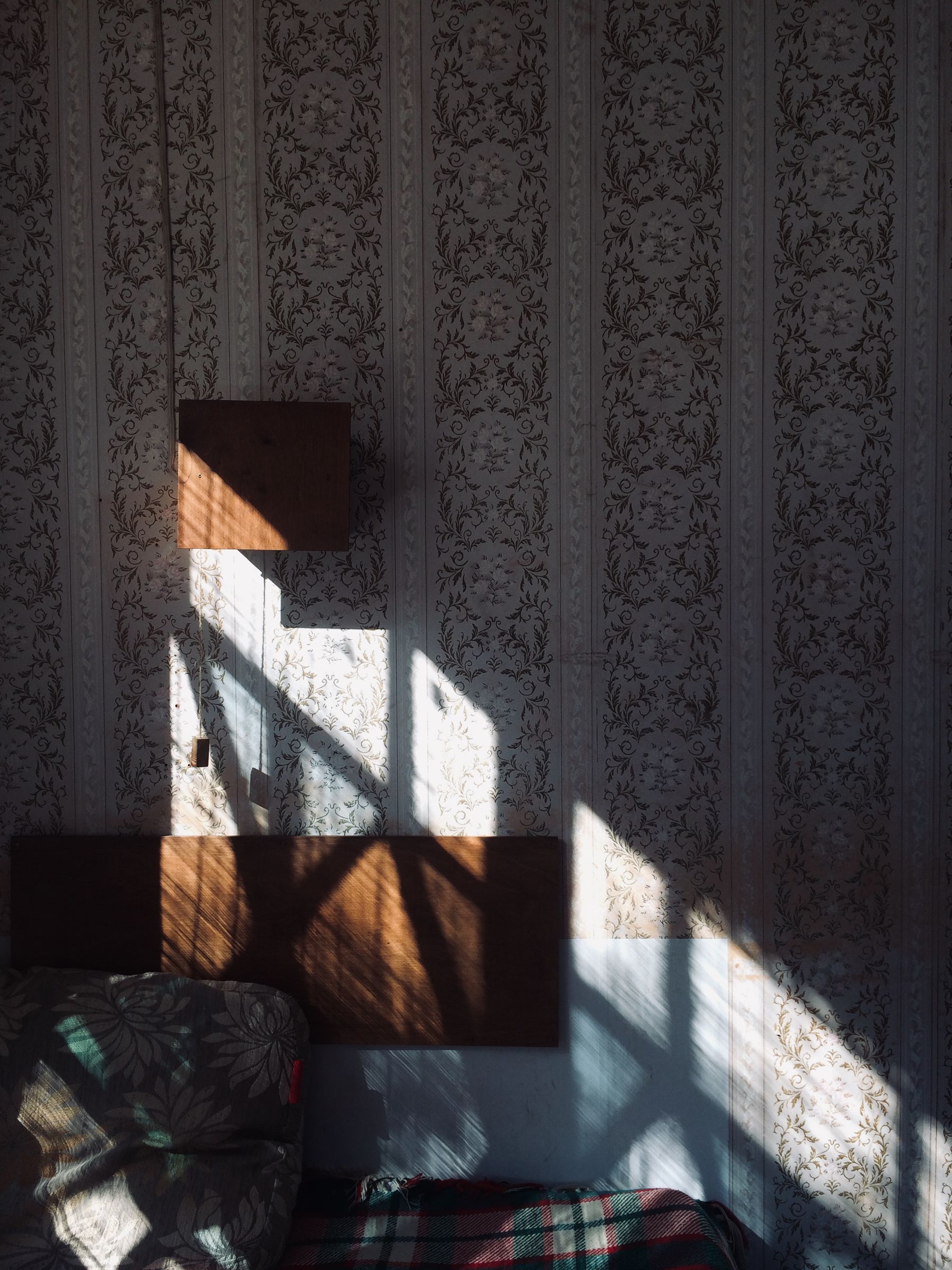 Floral bedroom wallpaper beside a timber bed with dappled sunlight across the patterned wall