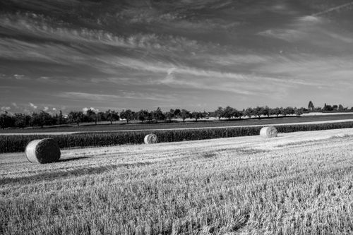 Free A serene rural landscape with hay bales, captured in black and white, showcasing summer harvest. Stock Photo