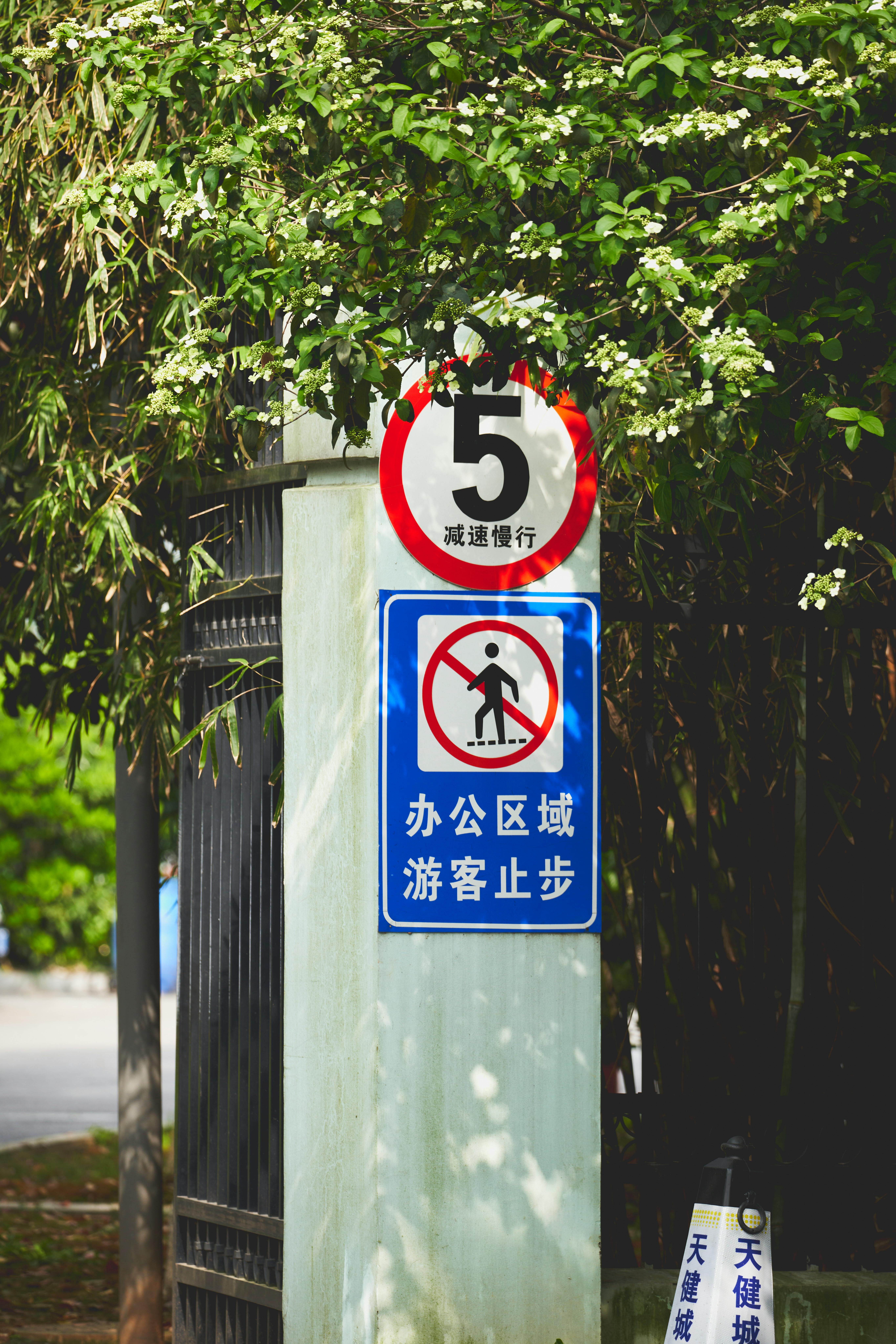 Traffic signs amidst greenery displaying speed limit and no entry symbols.