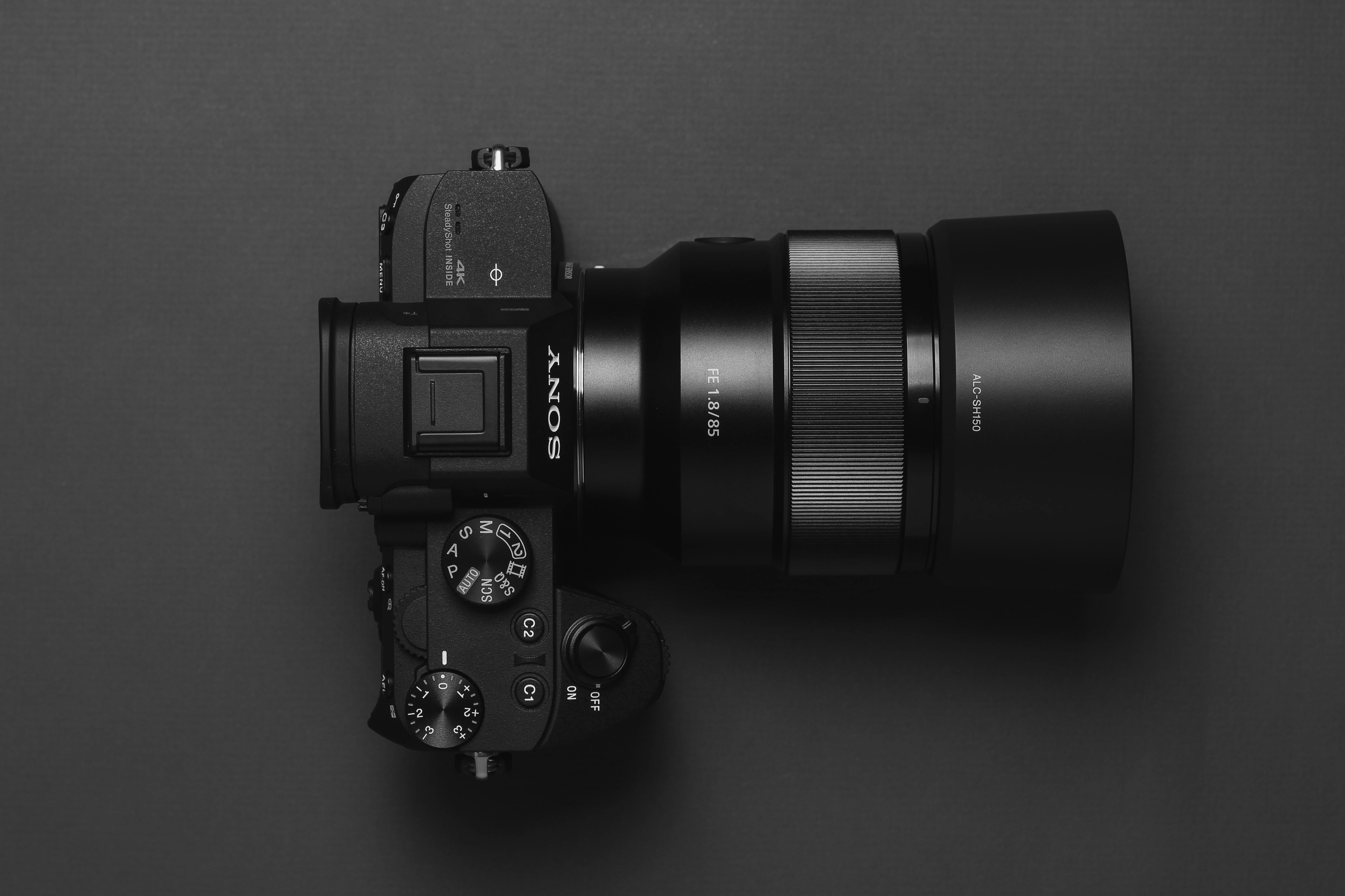 Sony A7 III Initial Impressions and Sample Images