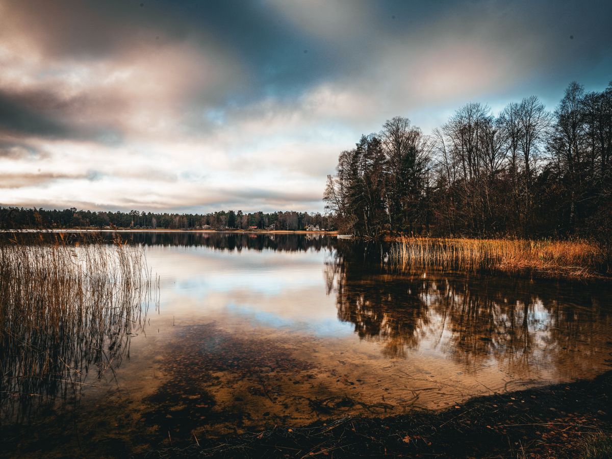 4 Day Inner Evolution Master Plant Retreat in Finland 2