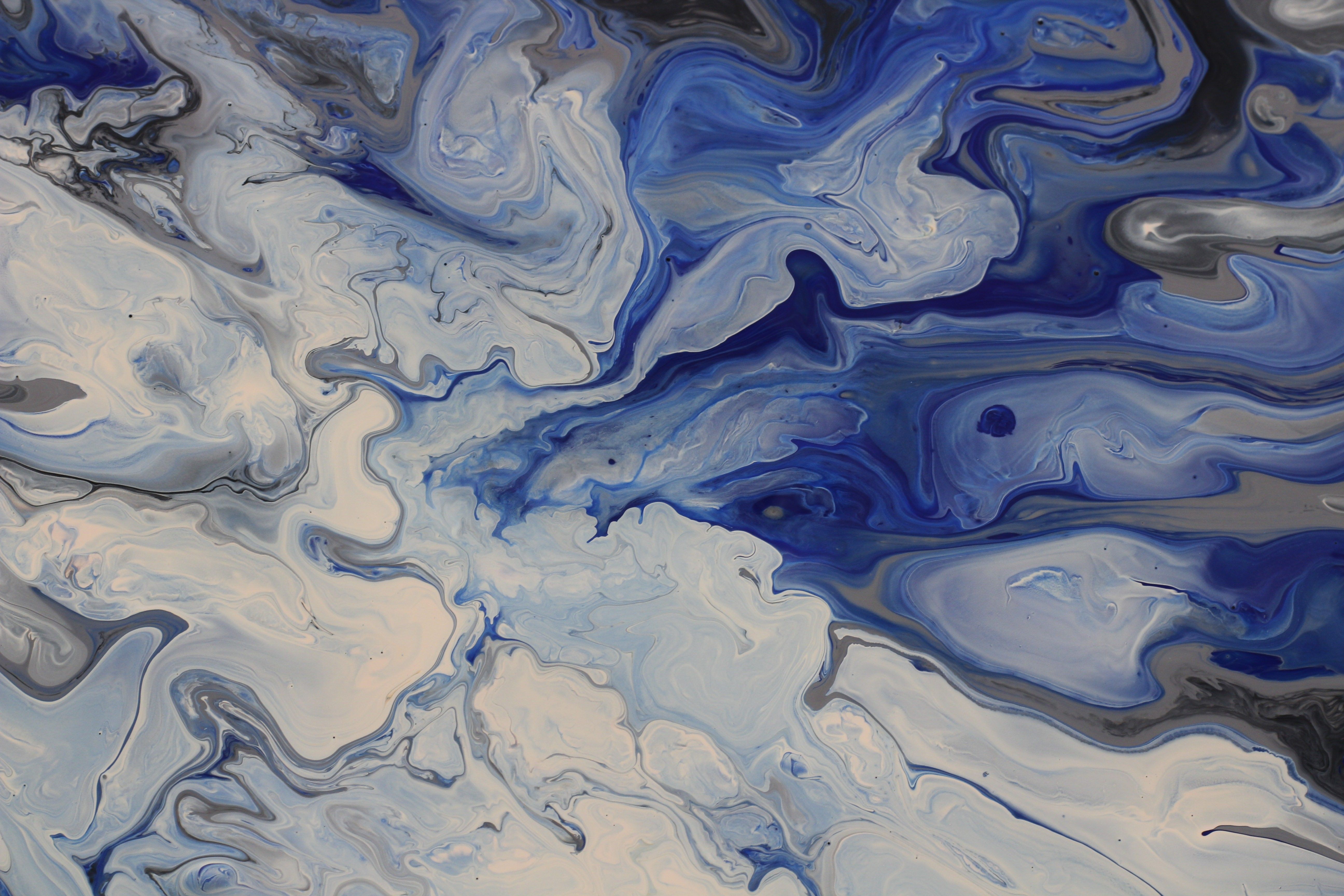 Abstract Blue and White Fluid Art Painting · Free Stock Photo