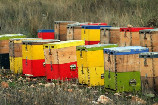 Vivid beehives sit in a field in Greece, showcasing traditional beekeeping.